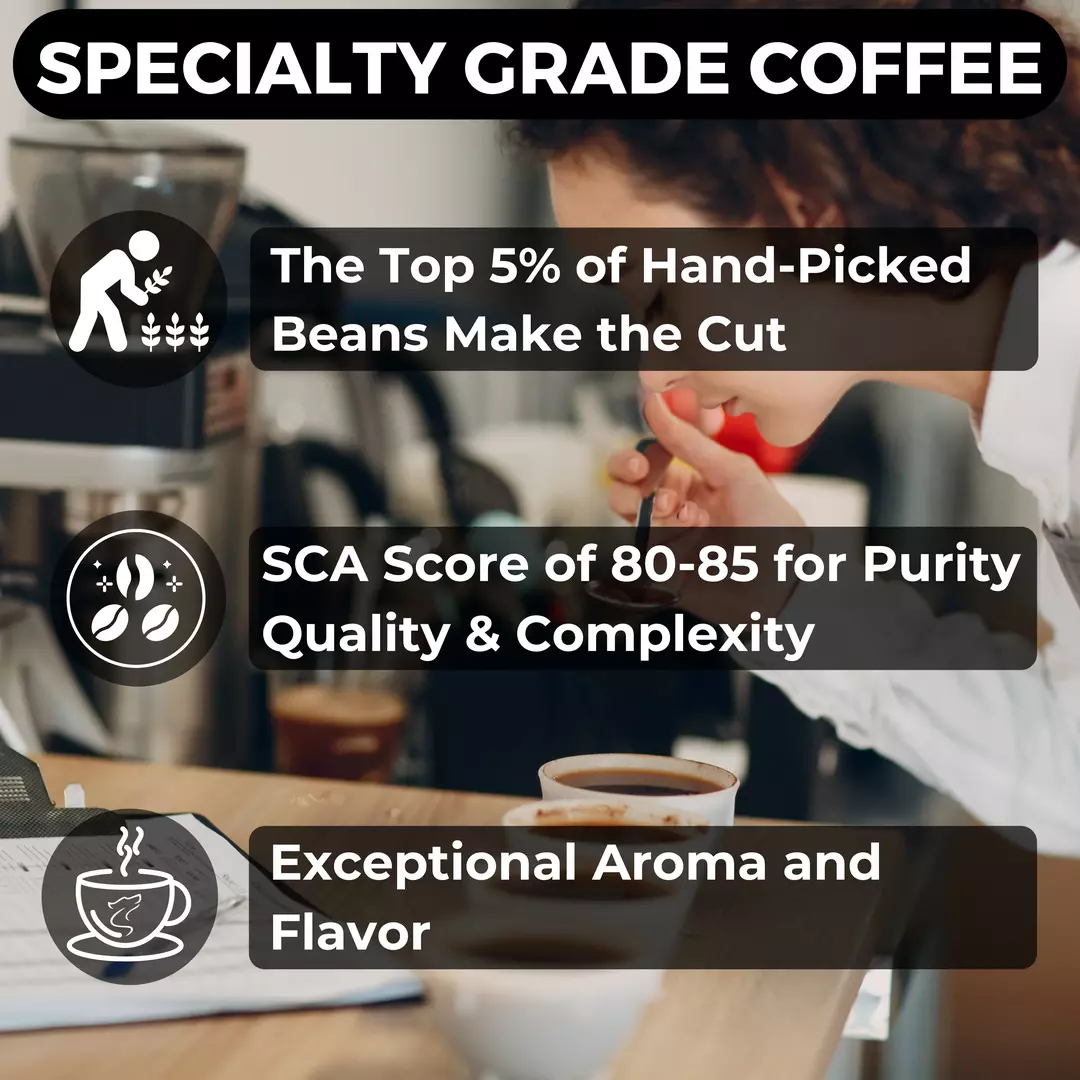 Barista evaluating coffee during cupping with icons highlighting top-tier specialty grade standards — Lone Wolf Coffee