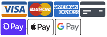 visa, master card, american express and google pay