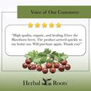 Voice of our customers with 5 stars and a picture of a bunch of hawthorn berries with their leaves. The review says "High quality, organic, and healing. I love the Hawthorn berry. The product arrived quickly to my home too. Will purchase again. Thank you!"