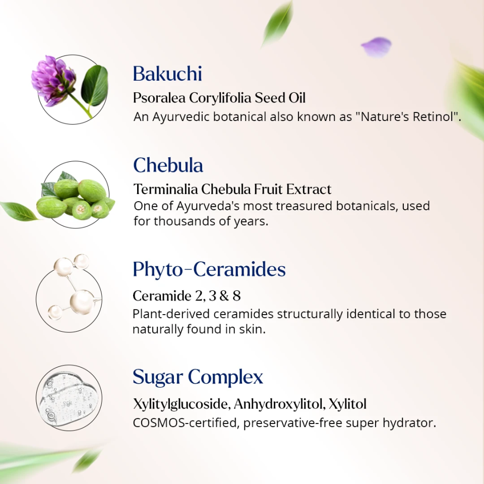 Cerabuild Ingredients