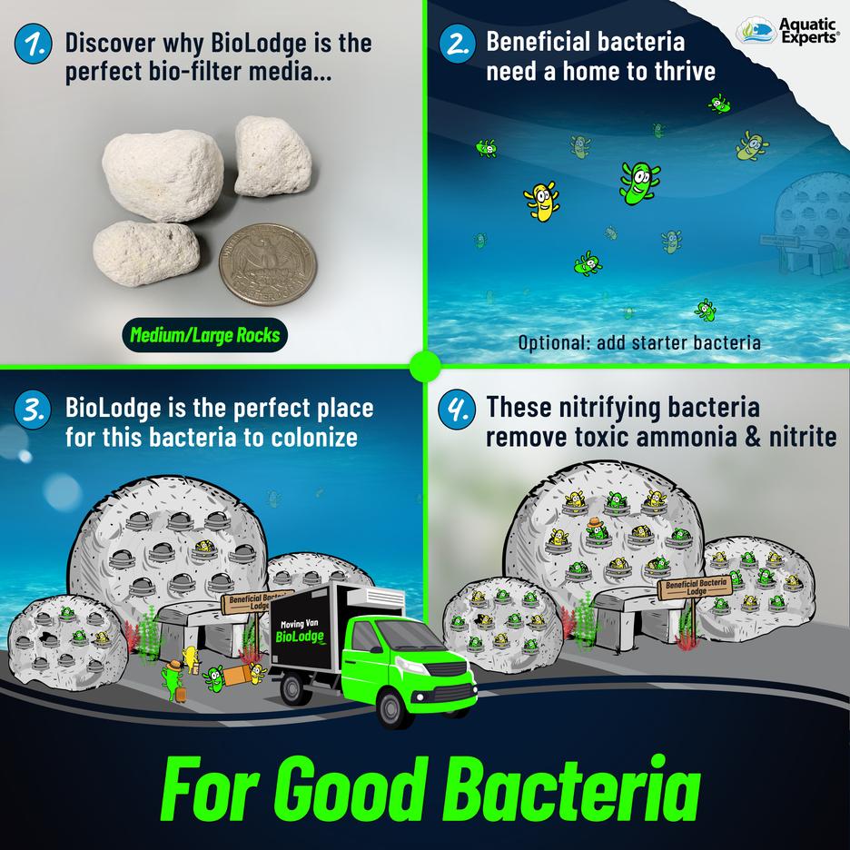 BioLodge Aquarium Bio Media Bio Media for Aquarium Filter Aquatic