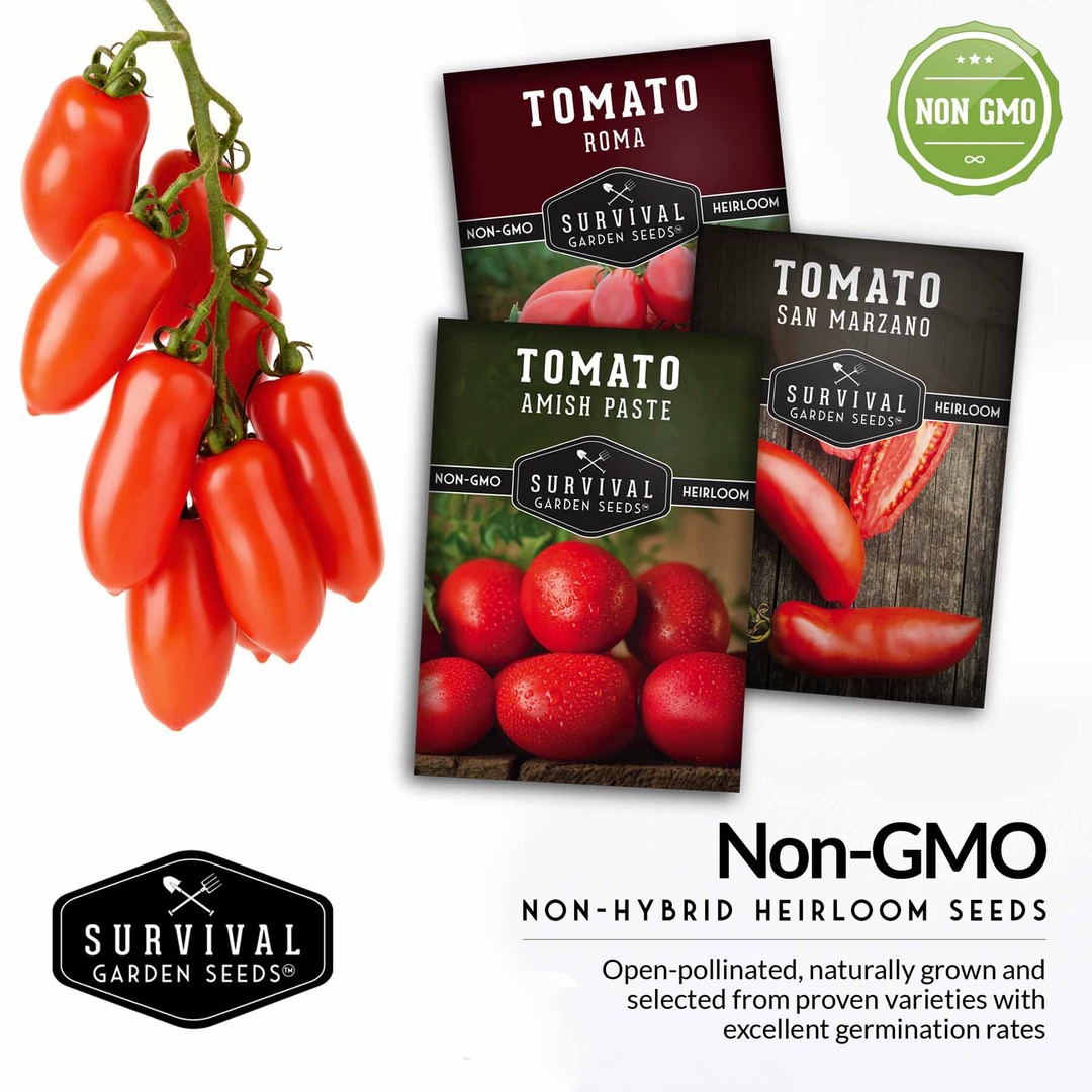Non-GMO, non-hybrid heirloom tomato seeds for your survival garden