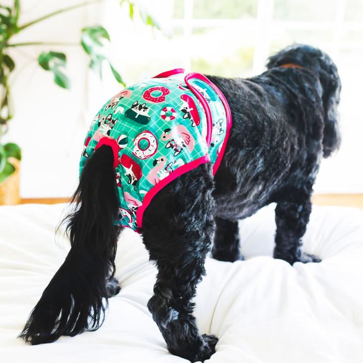 Do Dog Diapers Work? Potty Buddy™