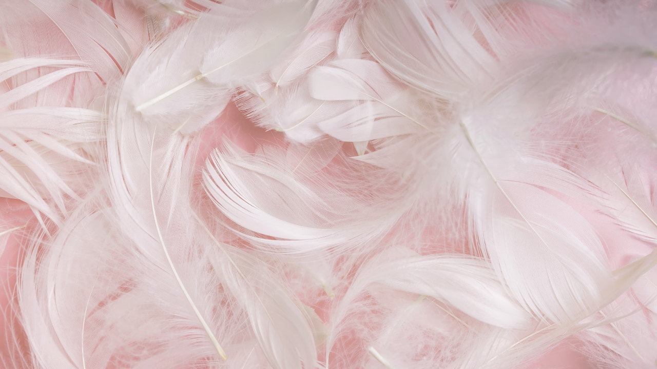 The Spiritual Significance of Finding White Feathers