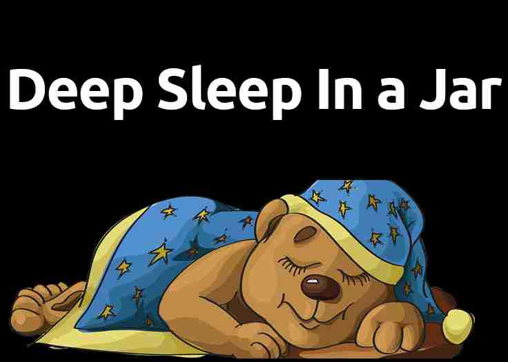 Deep Bear Sleep