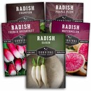 5 Packets of heirloom radish seeds
