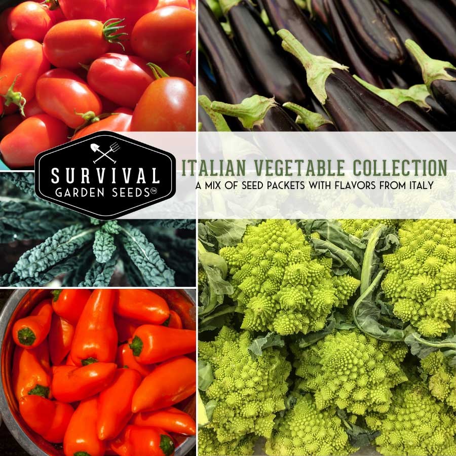 Italian Vegetable Seed Collection