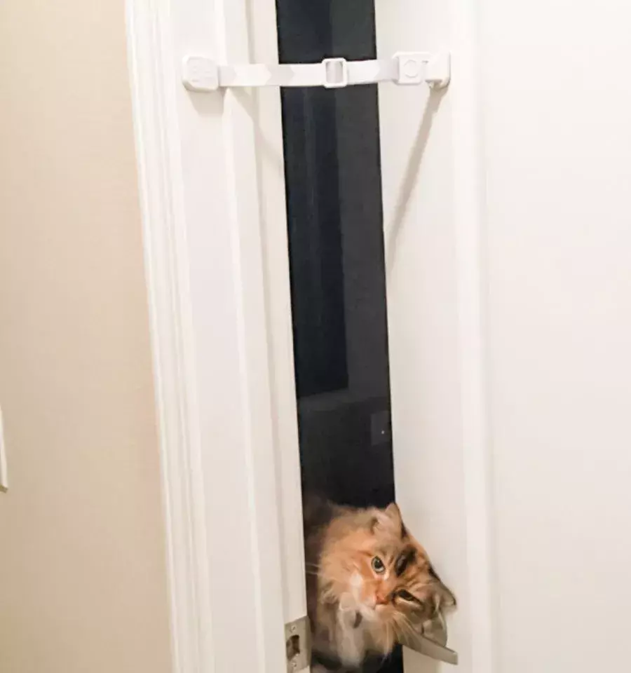 door buddy strap
