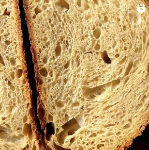 Sourdough Bread UGC