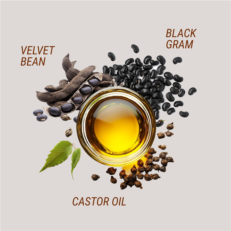 Ingredientes de Balaayah Tea Garden