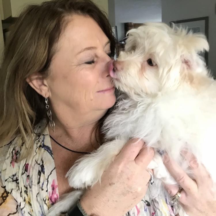 Hand & Paw Project — Hand and Paw Project™