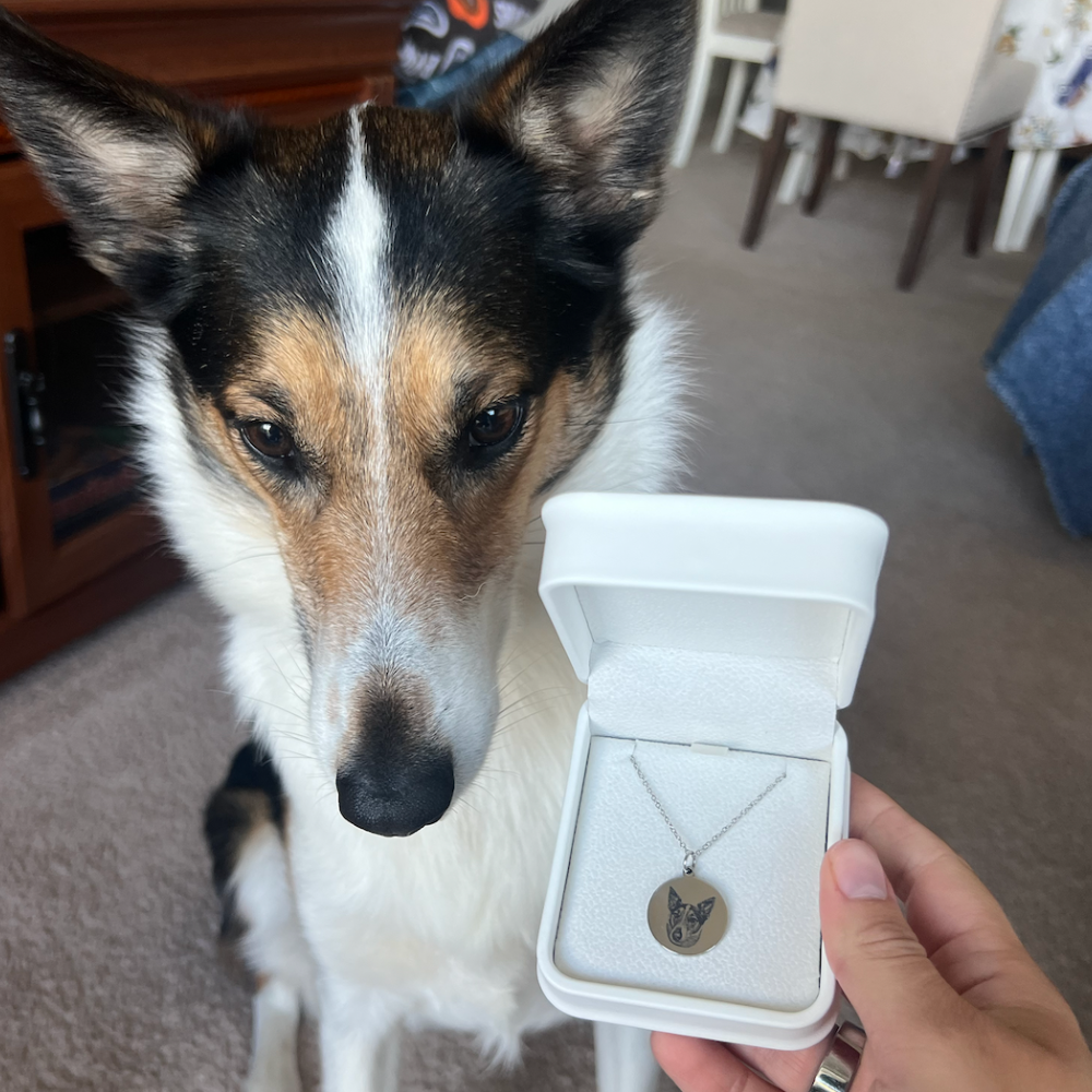 Close up of a Dog beside a CC Custom Necklace.