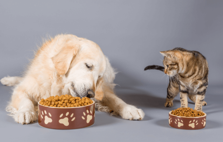 Door Buddy - Pet nutrition