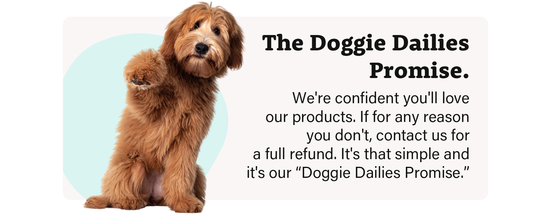 The Doggie Dailies Promise