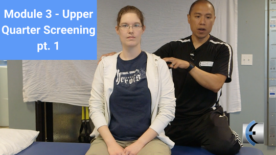 Modern Manual Therapy: The Eclectic Approach to UQ and LQ Assessment a