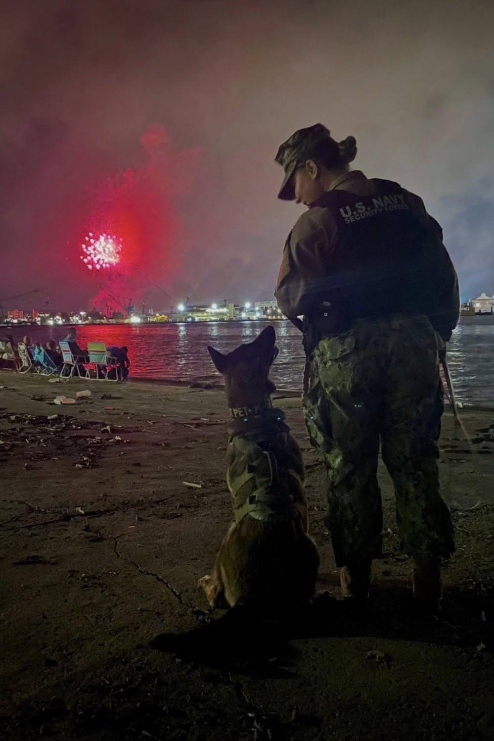 mwd nikita with handler and fireworks