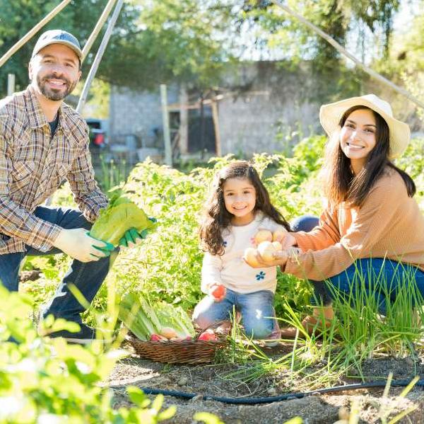 Family Gardening