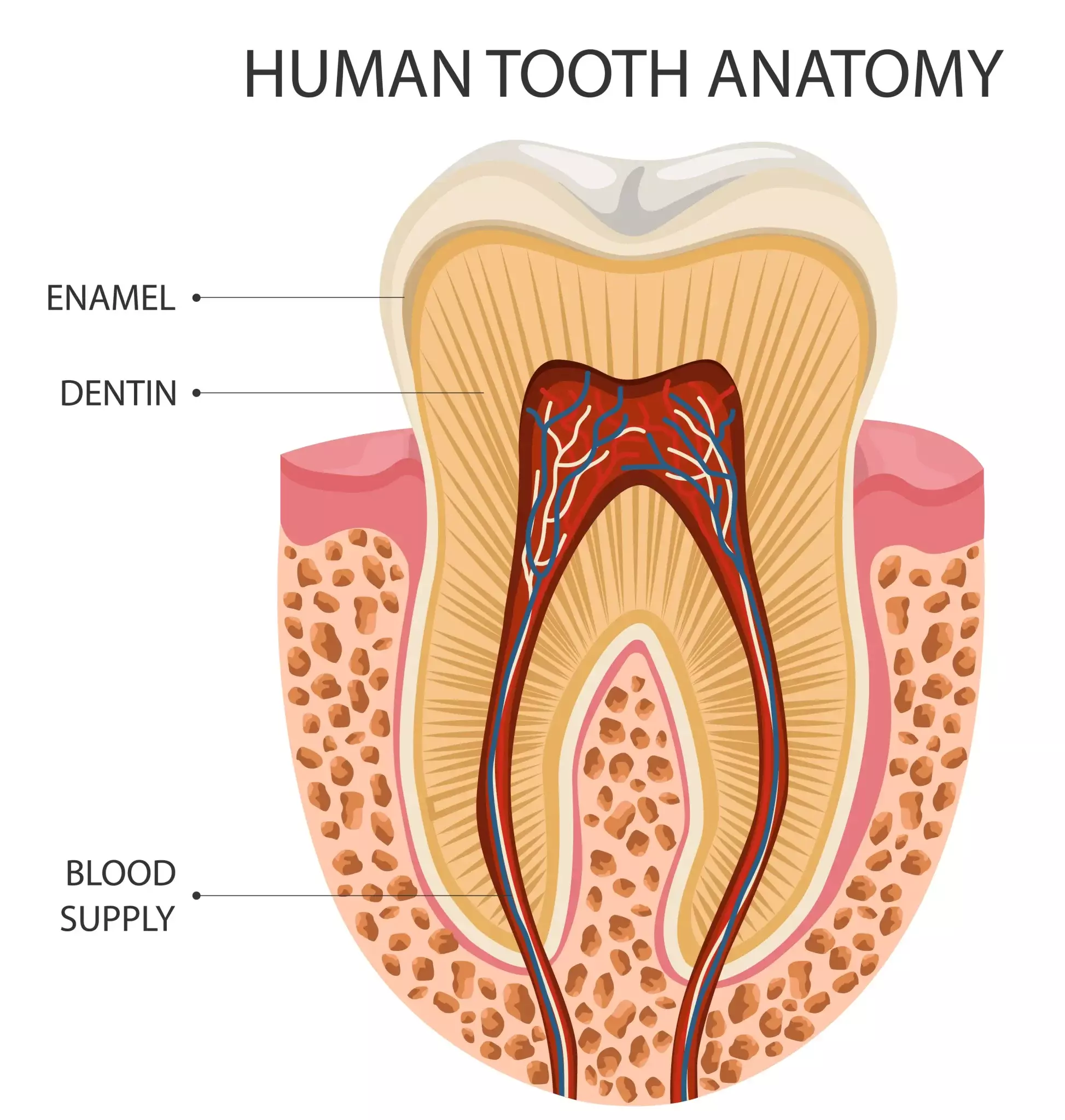 Cavities