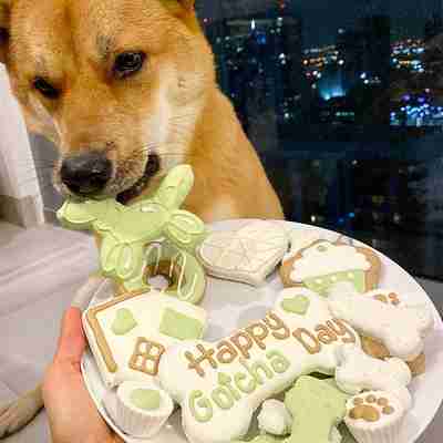 October 2020 Dog Birthday Party Celebration | Dog Birthday Treats