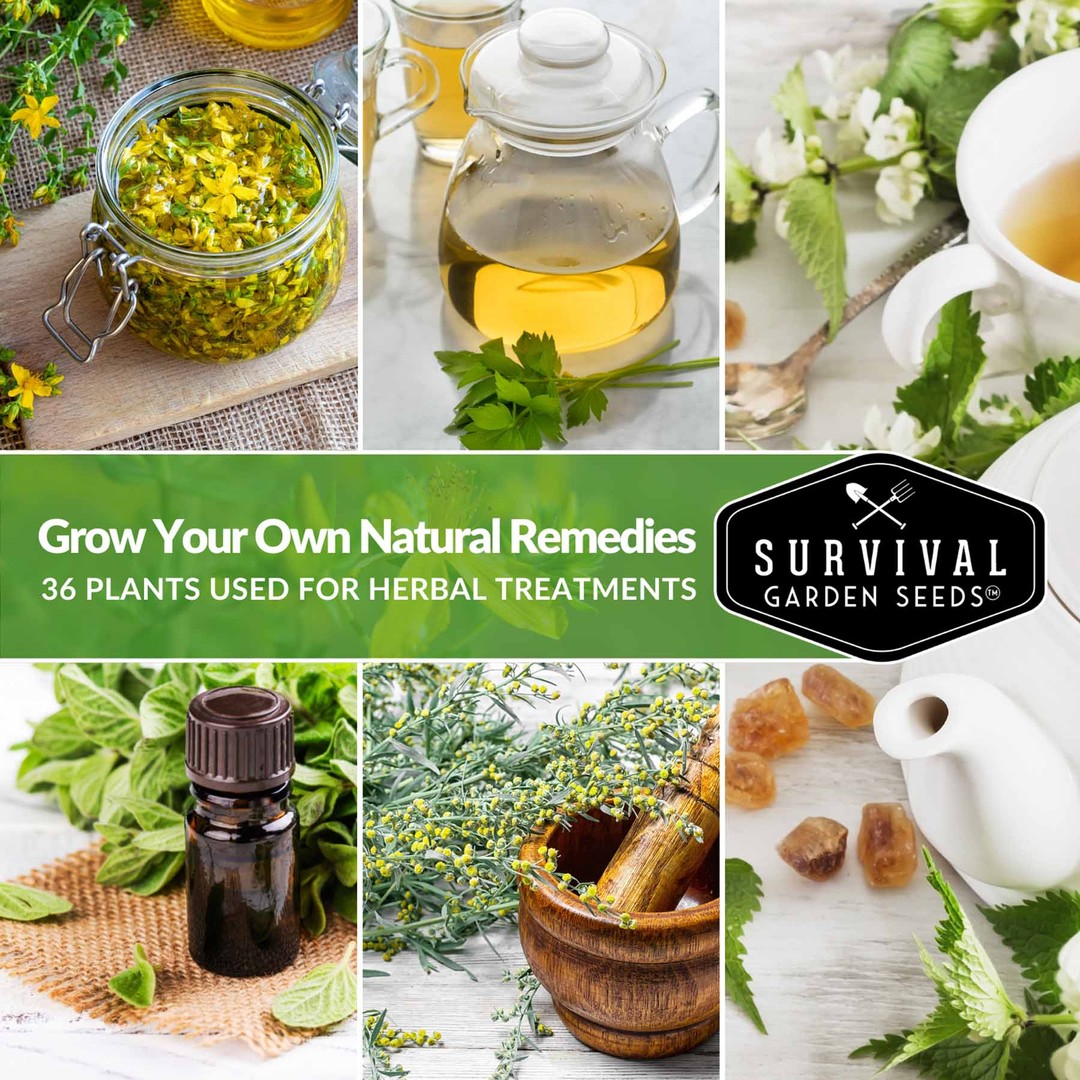 Grow your own natural remedies - 36 plants used for herbal treatments