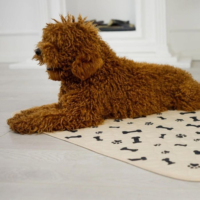 Dog lying on reusable potty pad