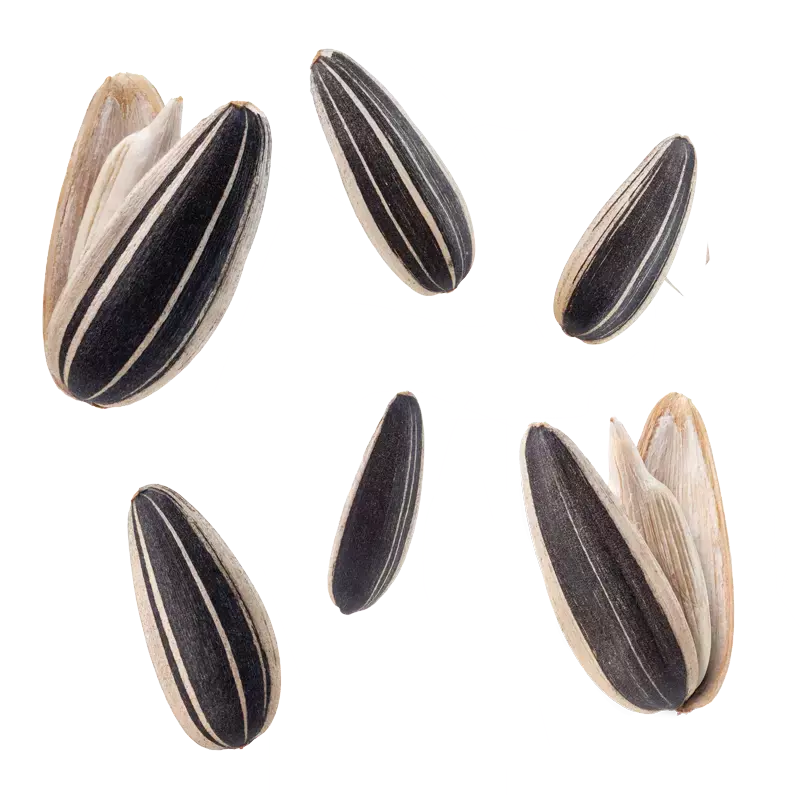 Sunflower Seeds