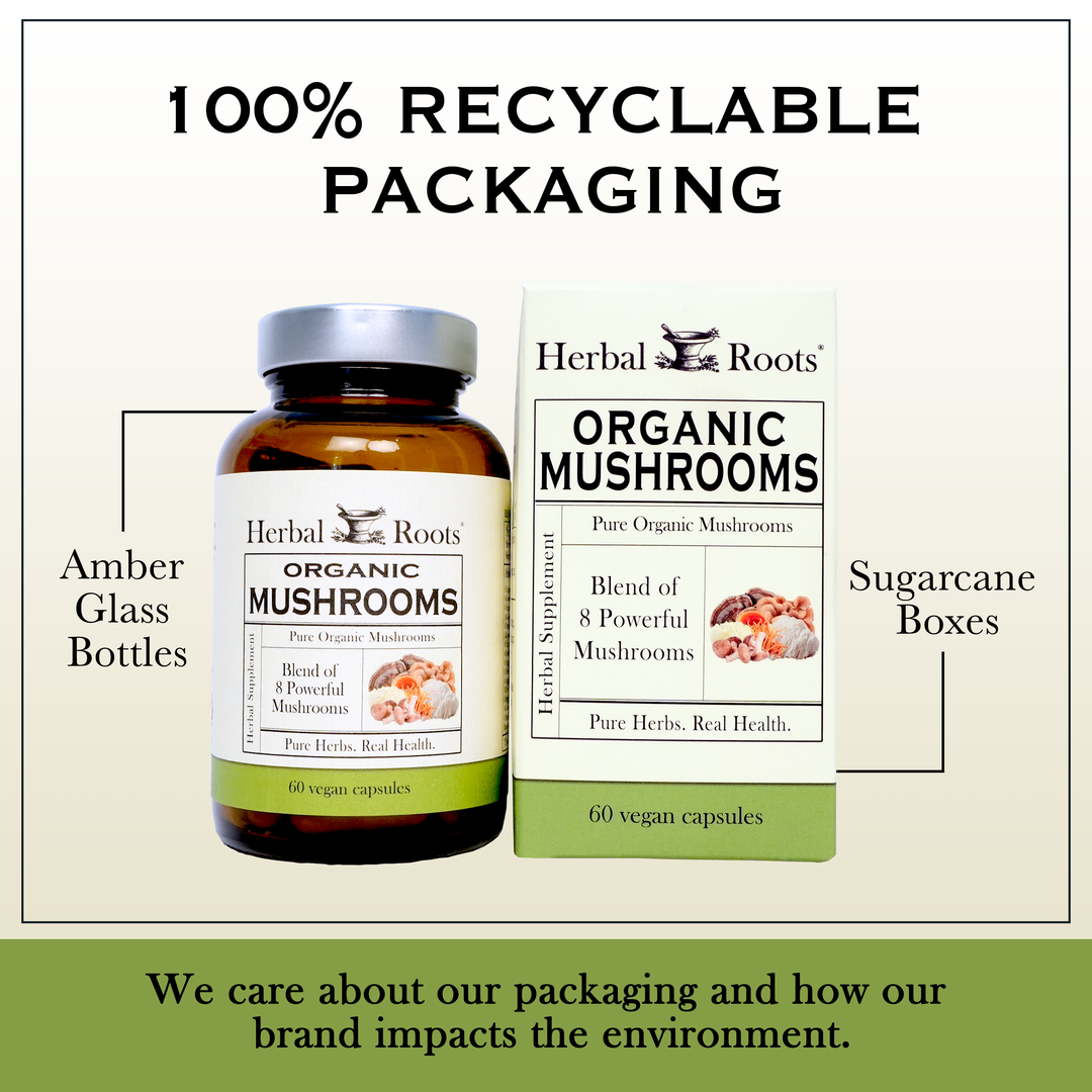 Bottle and box of Herbal Roots Organic Mushrooms next to each other. Under the bottle and box says We care about our packaging and how our brand impacts the environment. There is a line coming from the left of the bottle that says Amber glass bottles. There is a line coming from the left of the box that says sugarcane boxes.