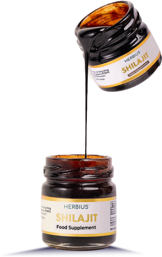 Herbius Shilajit 30gx20g