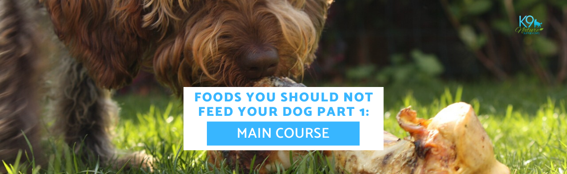 human-foods-harm-your-dogs-main-food