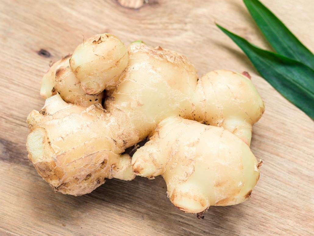 Ginger