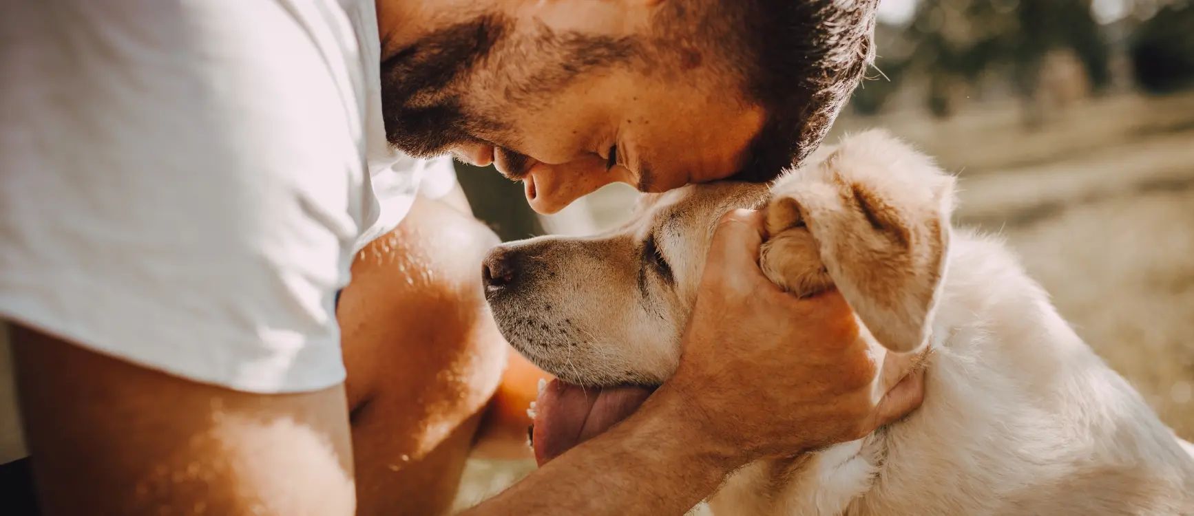 A man sits on grass, gently petting his dog, enjoying a sunny day together in a peaceful outdoor setting.