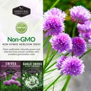 non-gmo non-hybrid heirloom chive seeds