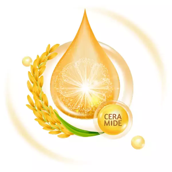 Ceramide