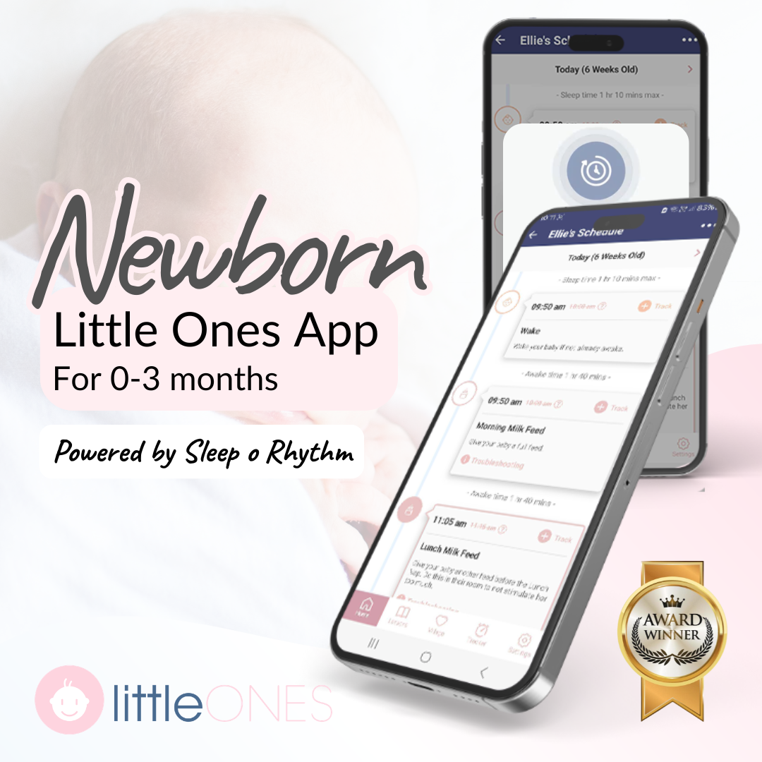 Newborn Sleep Program
