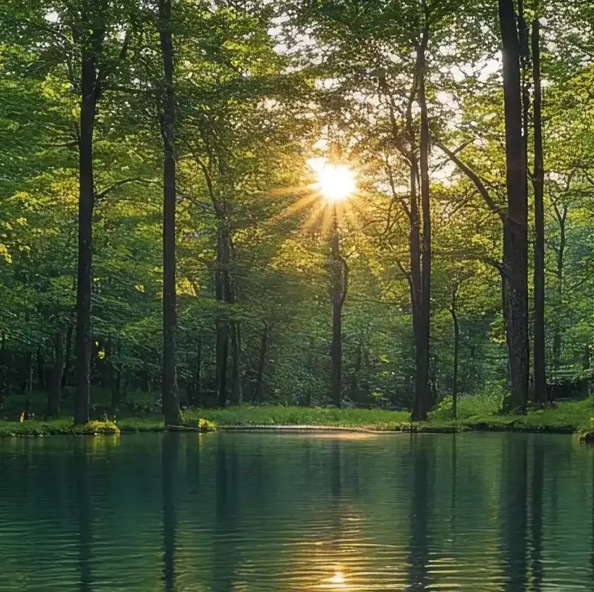 The "Forest Focus" Glow You Didn't Know You Were Missing