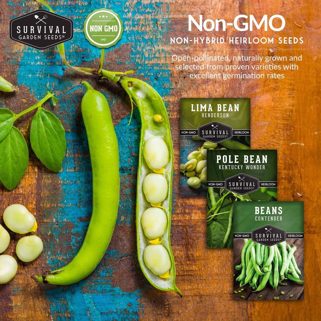 non-gmo, non-hybrid heirloom bean seeds