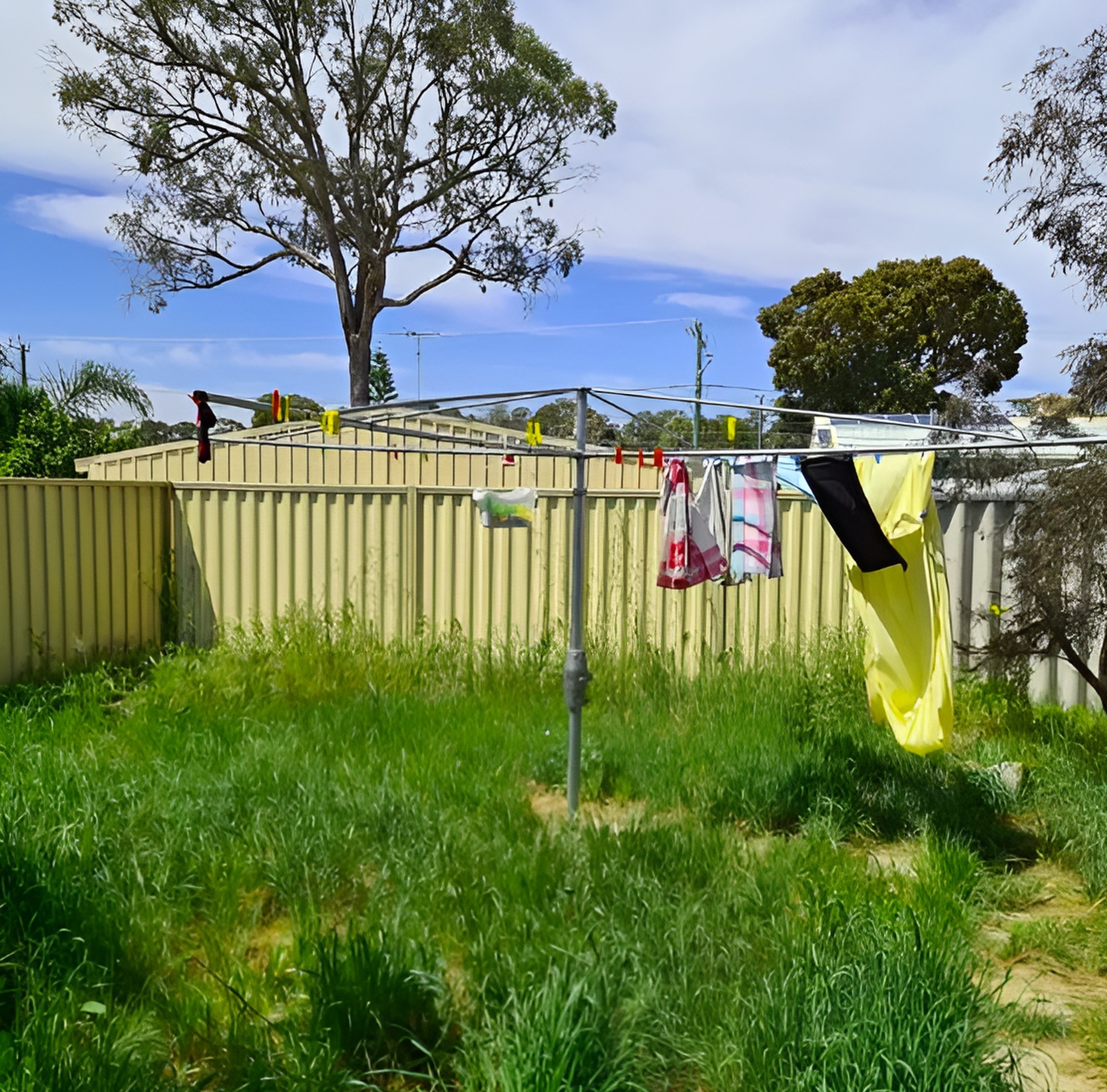 Rotary Clothesline for a Family of 5 14. Robust Galvanised Wire Tailored for the Australian Climate
