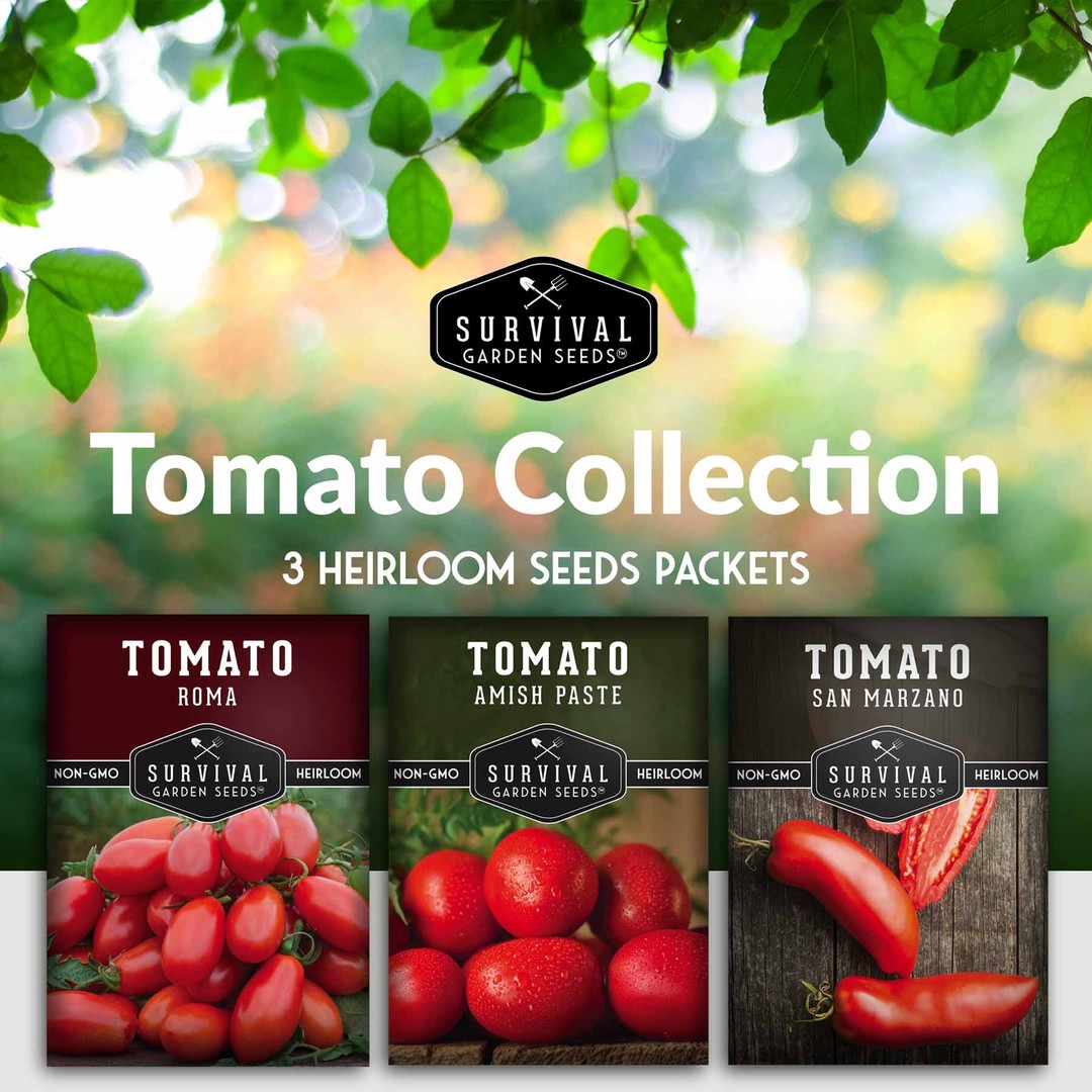 Paste Tomato Seed Collection - 3 Heirloom Tomato Seed Packets