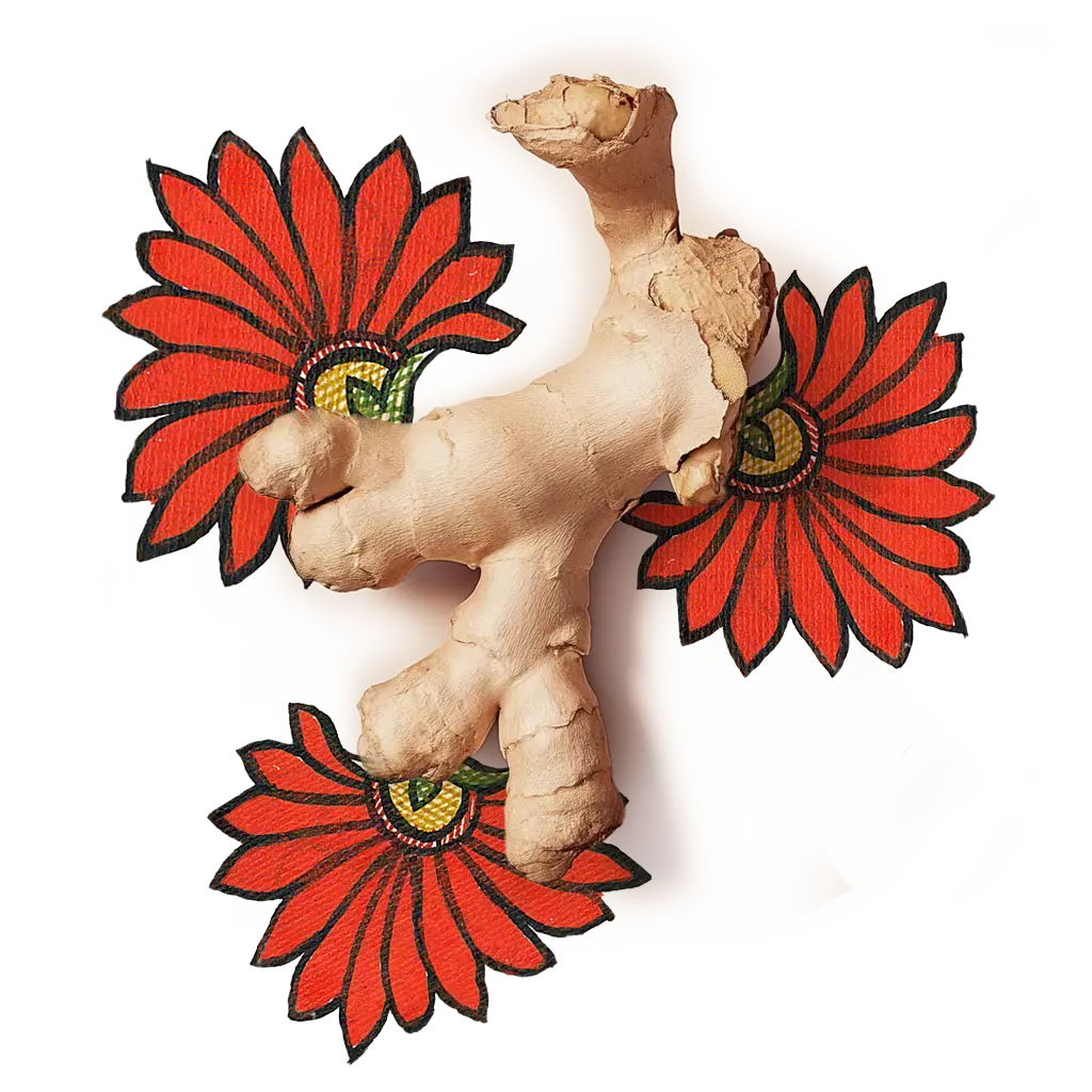 Raw ginger kept over an artwork of bright orange colored flowers