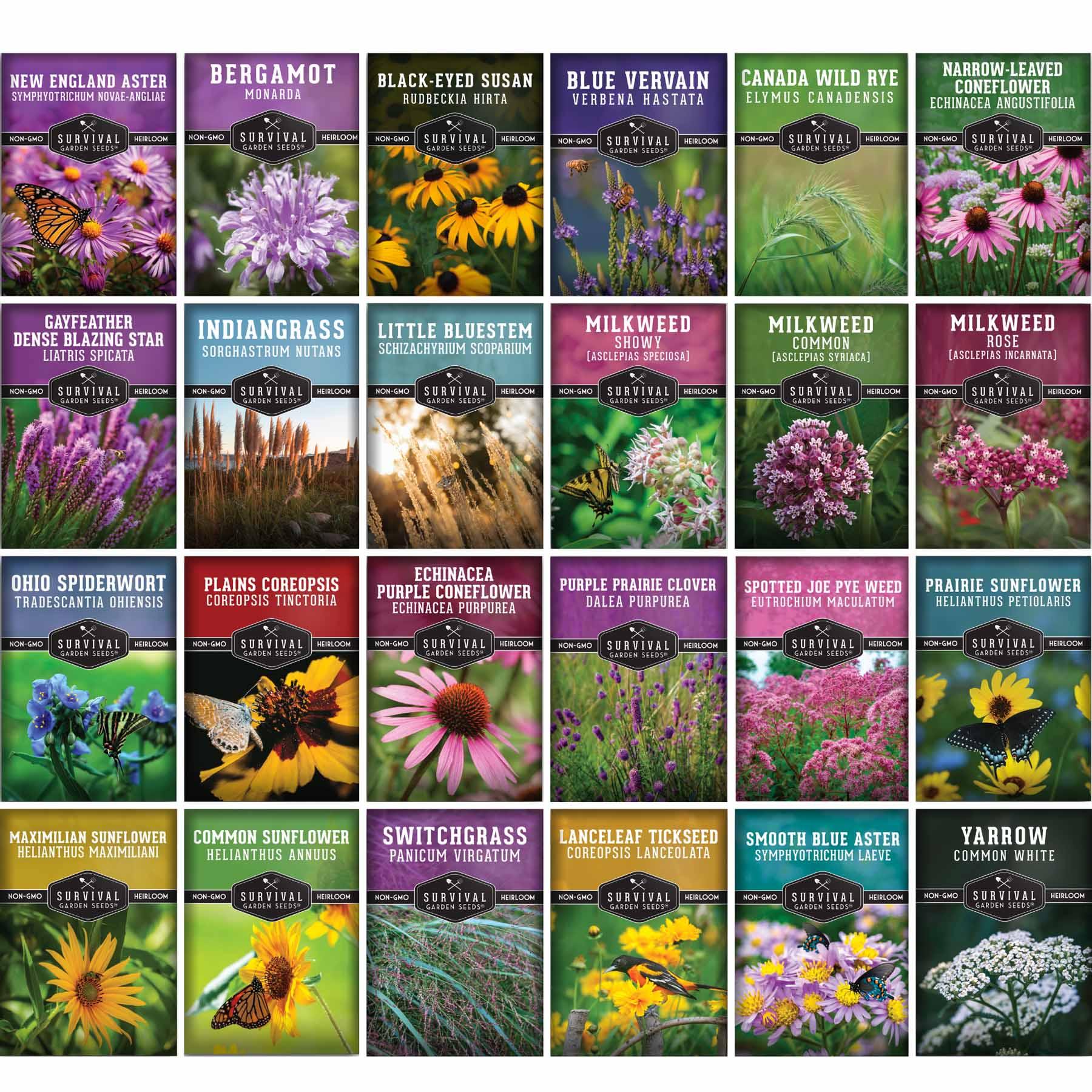 Native Plant Seed Collection - 24 Native Flowers, Herbs & Grasses