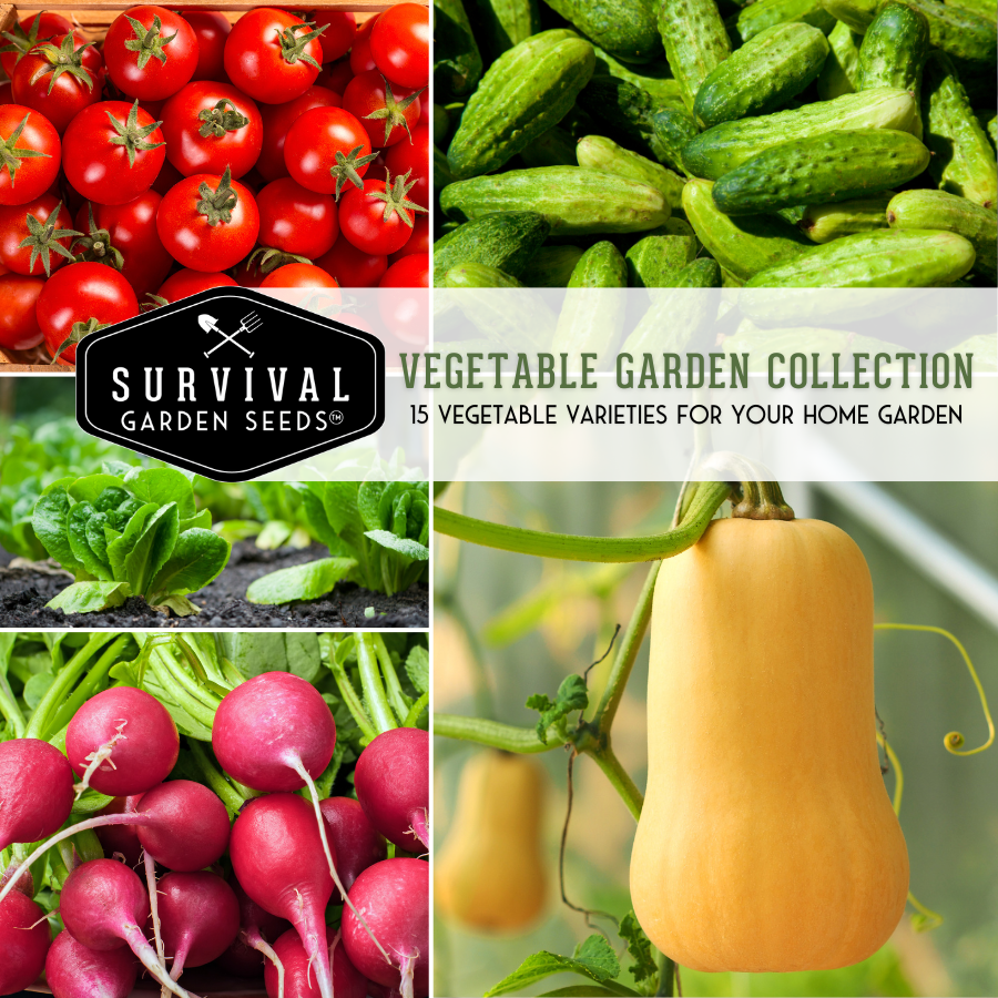 Vegetable Garden Seed Collection -15 varieties of heirloom vegetable seeds