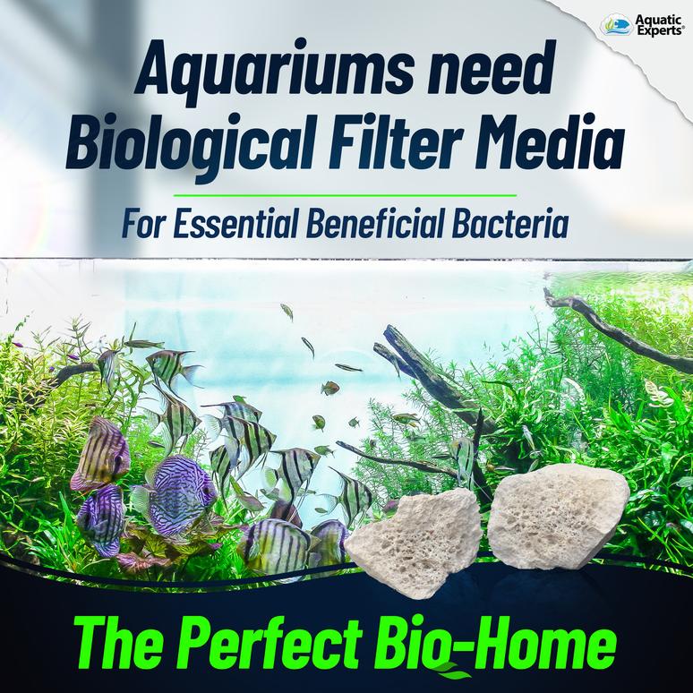 BioLodge Aquarium Bio Media Bio Media for Aquarium Filter Aquatic