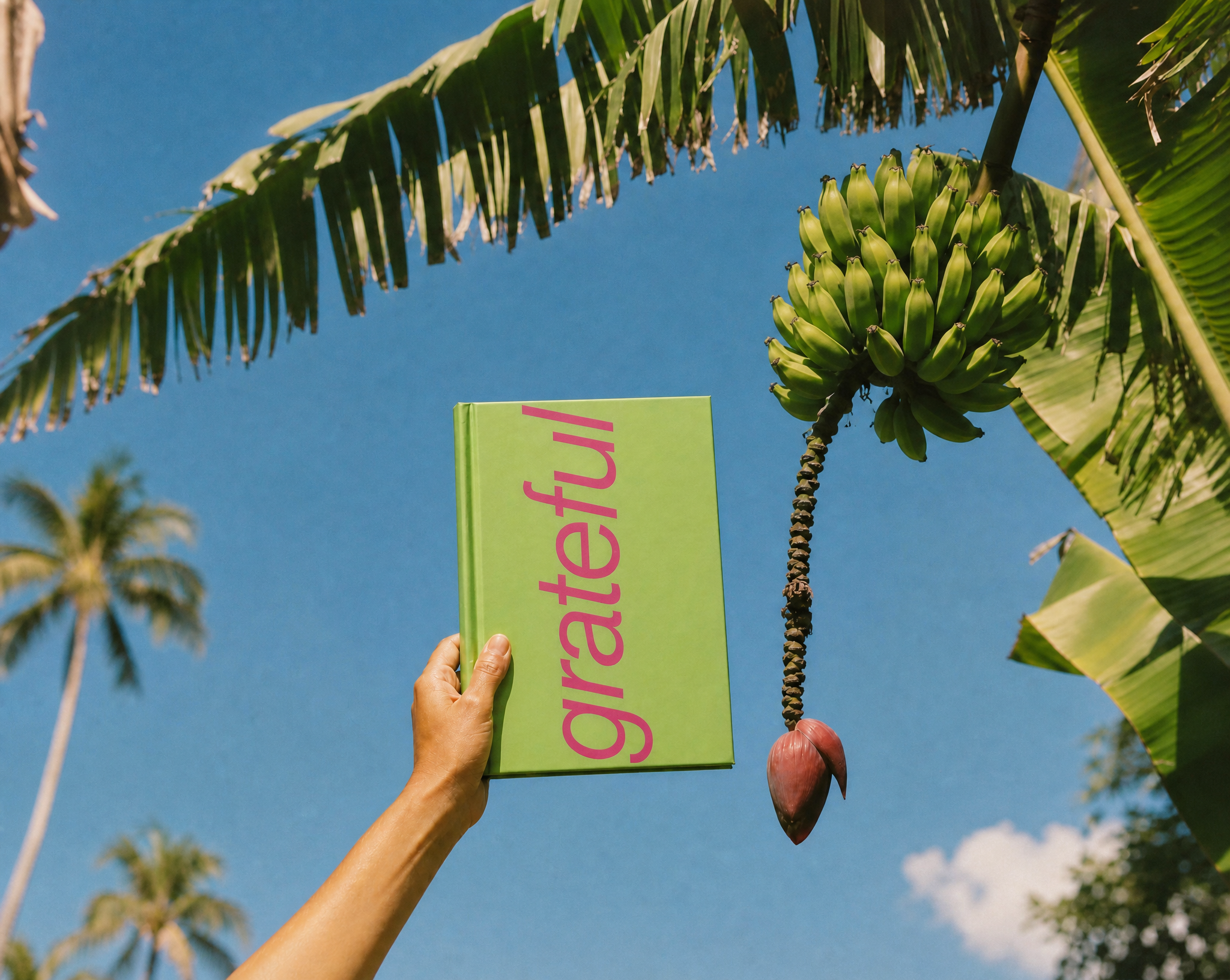 journal with banana bunch