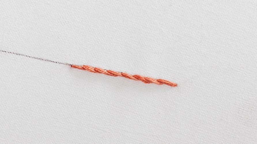 This is image of stem stitch.
