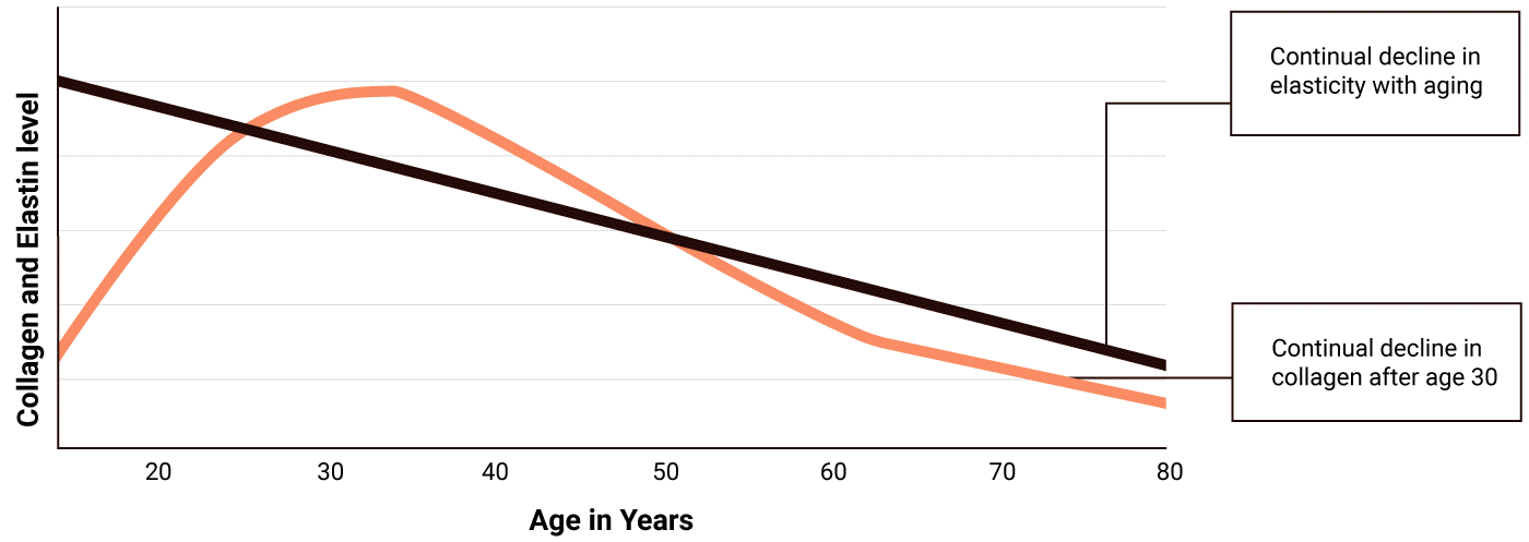 Graph showing decline in elasticity and collagen as we age