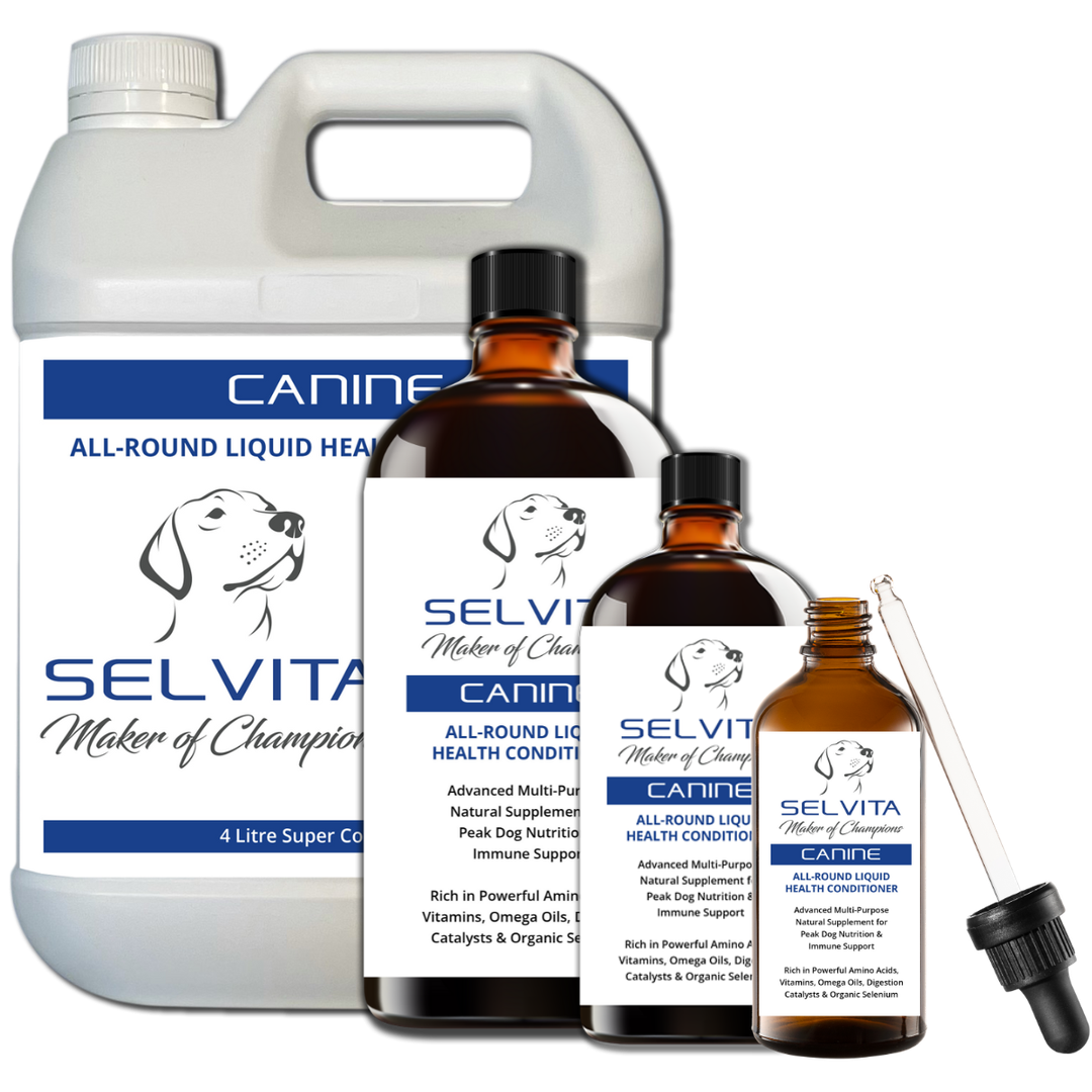 Selvita Canine Product image 100ml to 4L