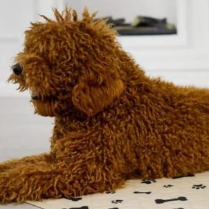 How to Train Your Puppy to Use a Potty Pad