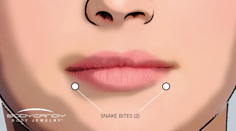 The Piercing Dictionary: Facial & Lip Piercings – BodyCandy