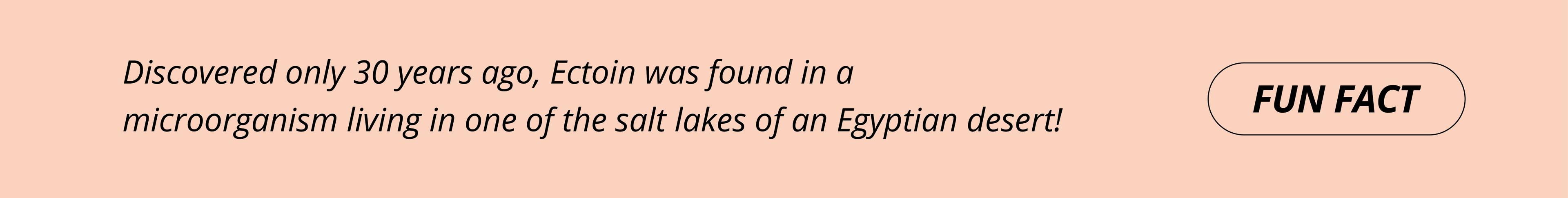 fun fact