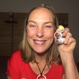 Ambassador Ulrika Brattemark